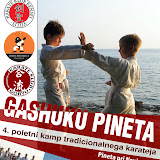 4. Gasshuku Pineta