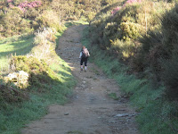 IMG_0059.JPG Photo