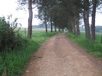 IMG_0241.JPG Photo