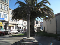 IMG_0296.JPG Photo