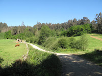 IMG_0305.JPG Photo