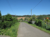 IMG_0306.JPG Photo