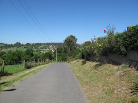IMG_0309.JPG Photo