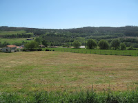 IMG_0311.JPG Photo