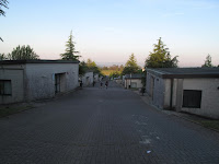 IMG_0361.JPG Photo