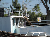 IMG_1348.JPG Photo