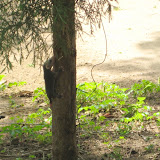 IMG_4313.JPG