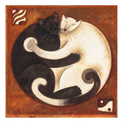 Yin And Yang Cover
