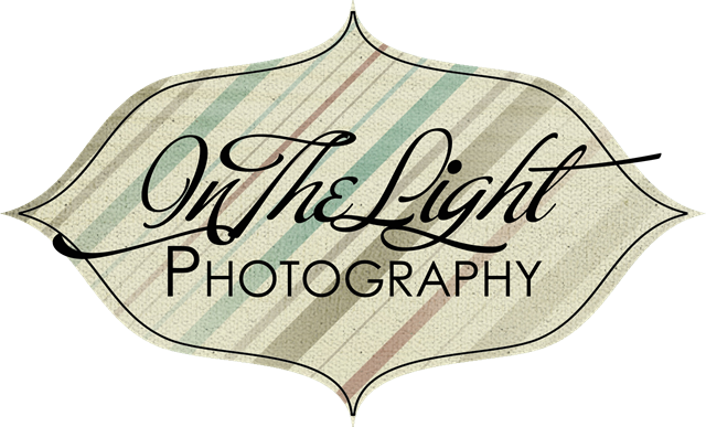 [in the light photography logo 3[3].png]