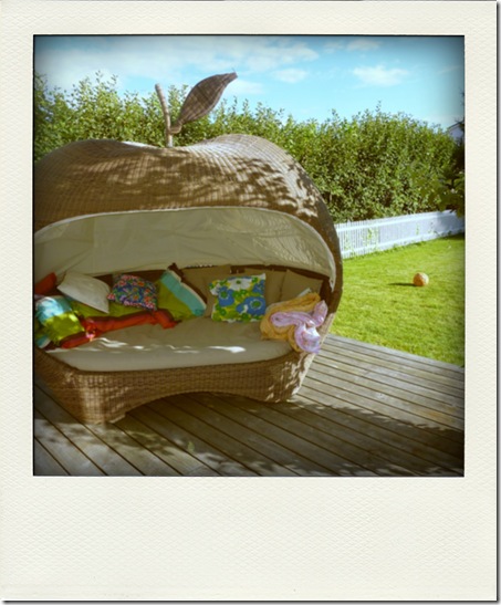 P1070853-pola01