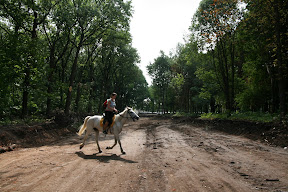 IMG_5500.JPG