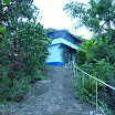 P1010613.jpg