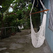 P1030399.JPG