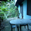 P1010621.jpg