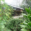 P1020178.jpg