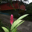 P1030438.JPG