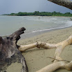 Fishing Trip at SuncampDR (41).JPG