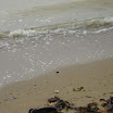 Fishing Trip at SuncampDR (66).JPG