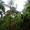 Mountain, property of Suncampdr (8).JPG