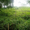 Mountain, property of Suncampdr (21).JPG
