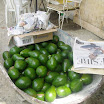 Tropical fruits at SuncampDR (7).JPG
