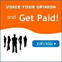 Make Money Online Surveys
