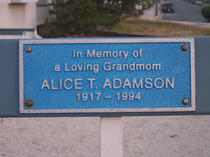 In memory ofa loving grandmomAlice T. Adamson1917 - 1994