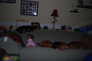 [xmas 2009_1225 4448 [2].jpg]