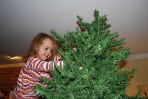 [putting up christmas tree (10)[2].jpg]