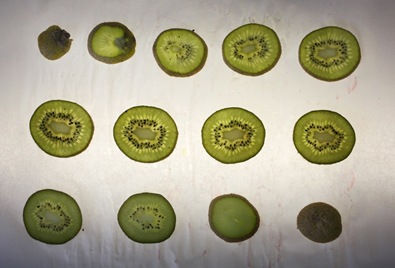 kiwi05