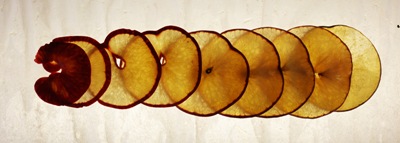 plum02