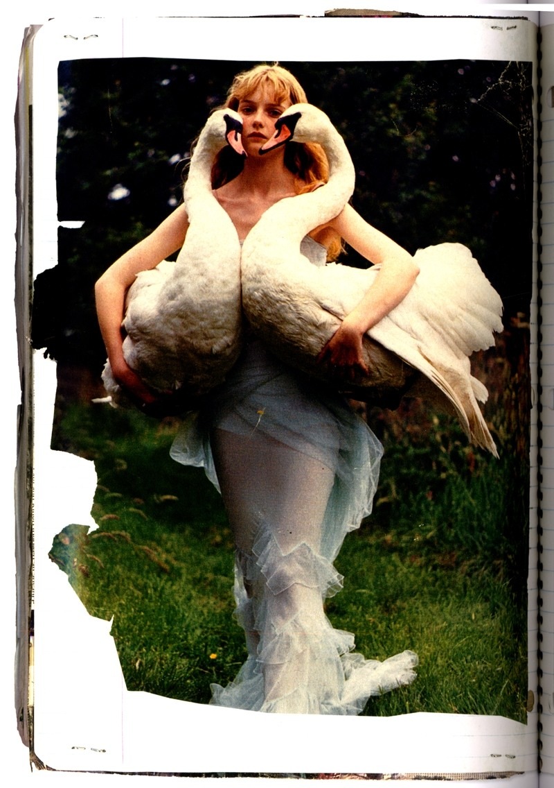 [timwalker12[1].jpg]