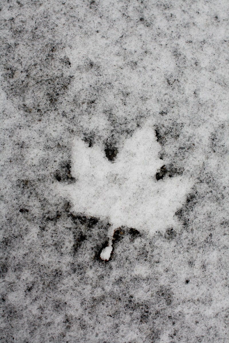 [snowagain07[3].jpg]