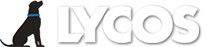[logo-lycos-207x47[4].png]