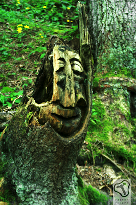 Elm - Schweiz