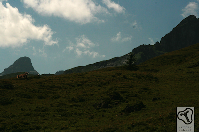 Elm - Schweiz