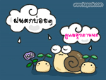 ฝนตกบ่อยๆ
