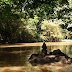 esuonwater_osogbo.jpg, looks like esu?, innerscrape 09 osogbo
