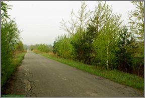 Budziarze
