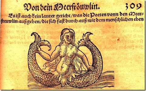 The Feejee Mermaid And Other Essays
