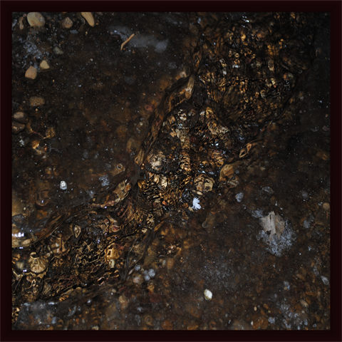 [framedwater39.png]