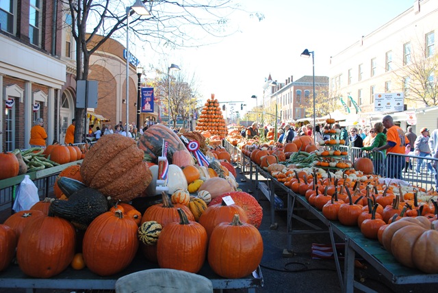 [DSC_0060[4].jpg]