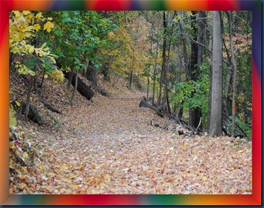 framedroad5 framedroad5