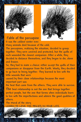 [porcupine[13].jpg]