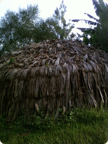 Chagga hse11