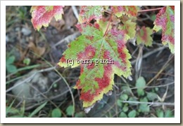 blog2 blog2