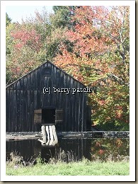 photo photo