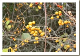 blog10 blog10