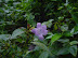 DSC00063.JPG