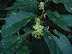 DSC00577.JPG
